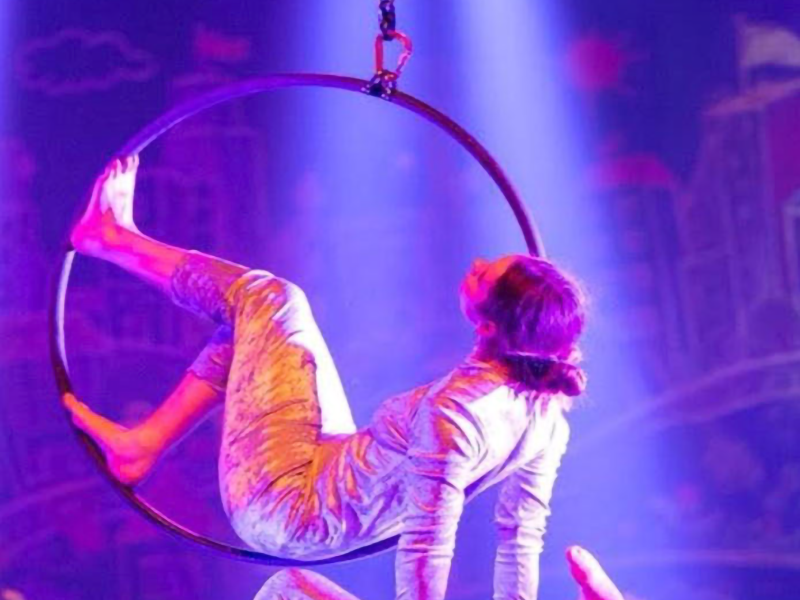 Aerial Hoop