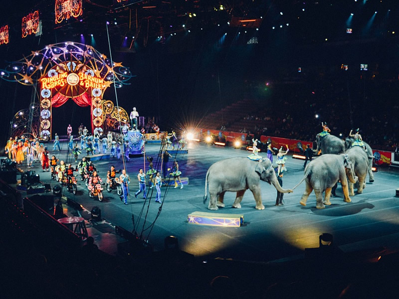 Circus Dans Circus Dans